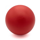 Treibball für Hunde – Größe S
