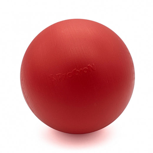Treibball für Hunde – Größe S