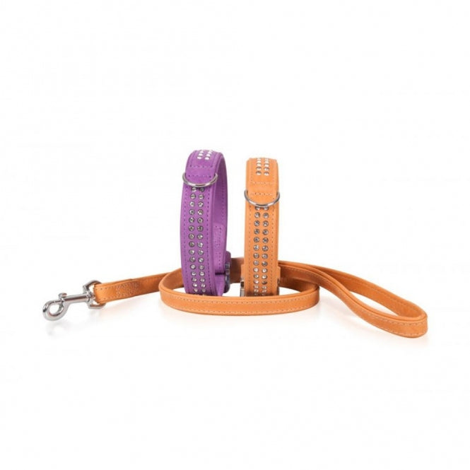 Strass-Halsband für Hunde – Buffalo – Bild 10