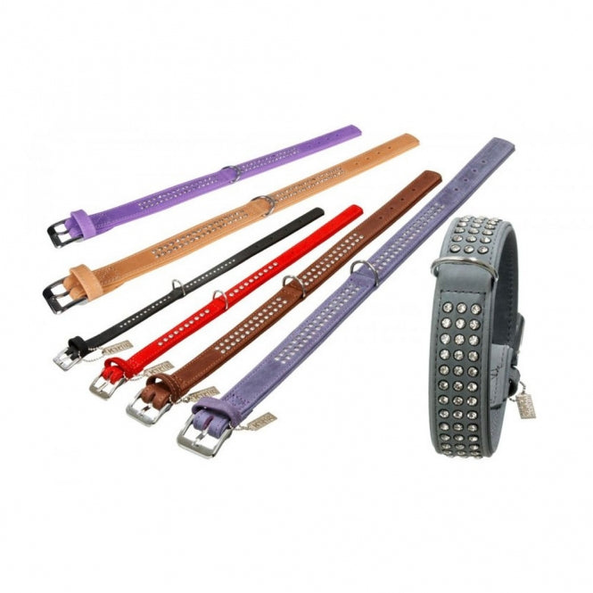Strass-Halsband für Hunde – Buffalo – Bild 13