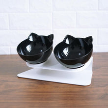 Cat Double Bowl - The Perfect Companion For Your Feline Friend