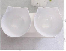Cat Double Bowl - The Perfect Companion For Your Feline Friend