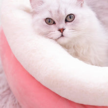 Cozy Kitty Winter Hideaway