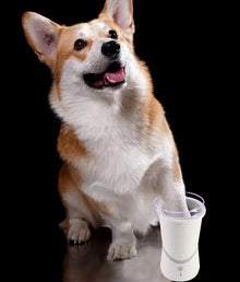 Dog Paw Automatic Cleaning Device