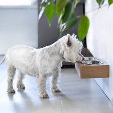 Small Dogs and Cats Wooden Elevated Stand, Young Dog Stand with Bowls