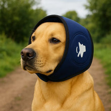 Dog Hearing Protection Hood for Fireworks & Loud Noise