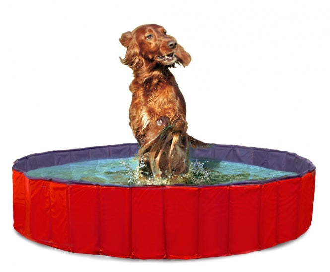Hundepool – DOGGY POOL der Swimmingpool für Hunde – Bild 4