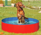 Hundepool – DOGGY POOL der Swimmingpool für Hunde – Bild 3