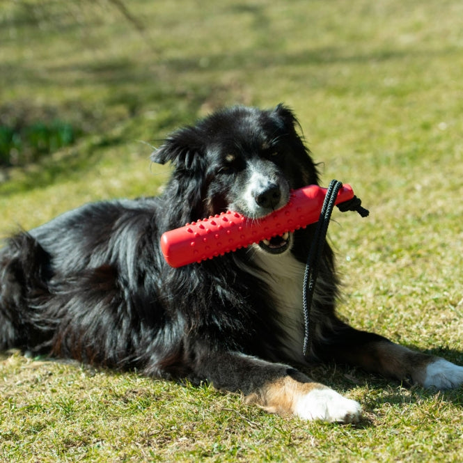 Trainingsdummy für Hunde – TPR rot – Bild 2