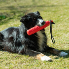 Trainingsdummy für Hunde – TPR rot – Bild 3