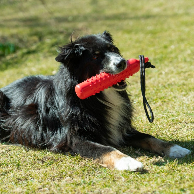Trainingsdummy für Hunde – TPR rot – Bild 3