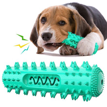 Vocal Pet Dog Chewing Toy and Toothbrush Stick