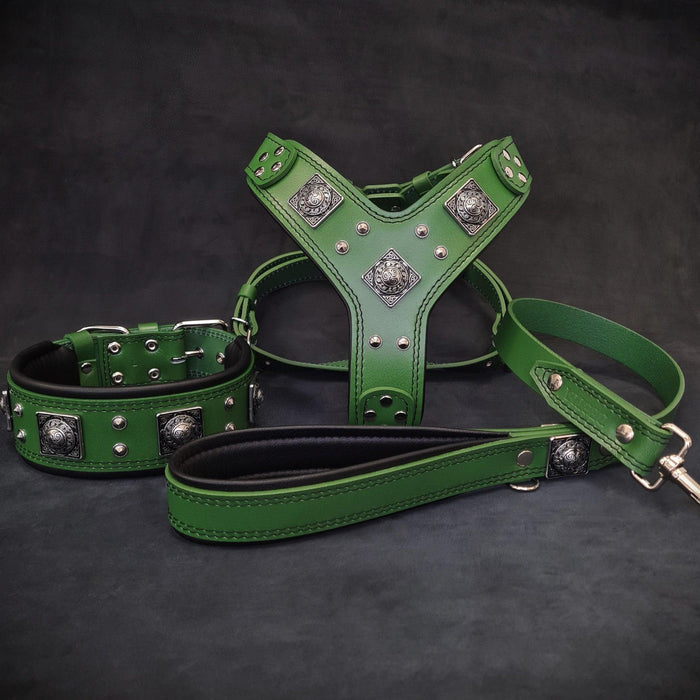 EROS Big Dog Set Grün – Geschirr, Halsband, Leine