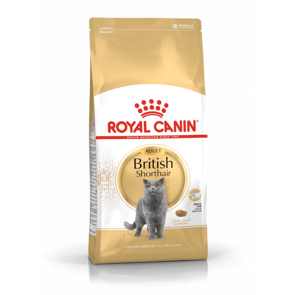 Katzentrockenfutter Feline British Shorthair – Royal Canin Cat