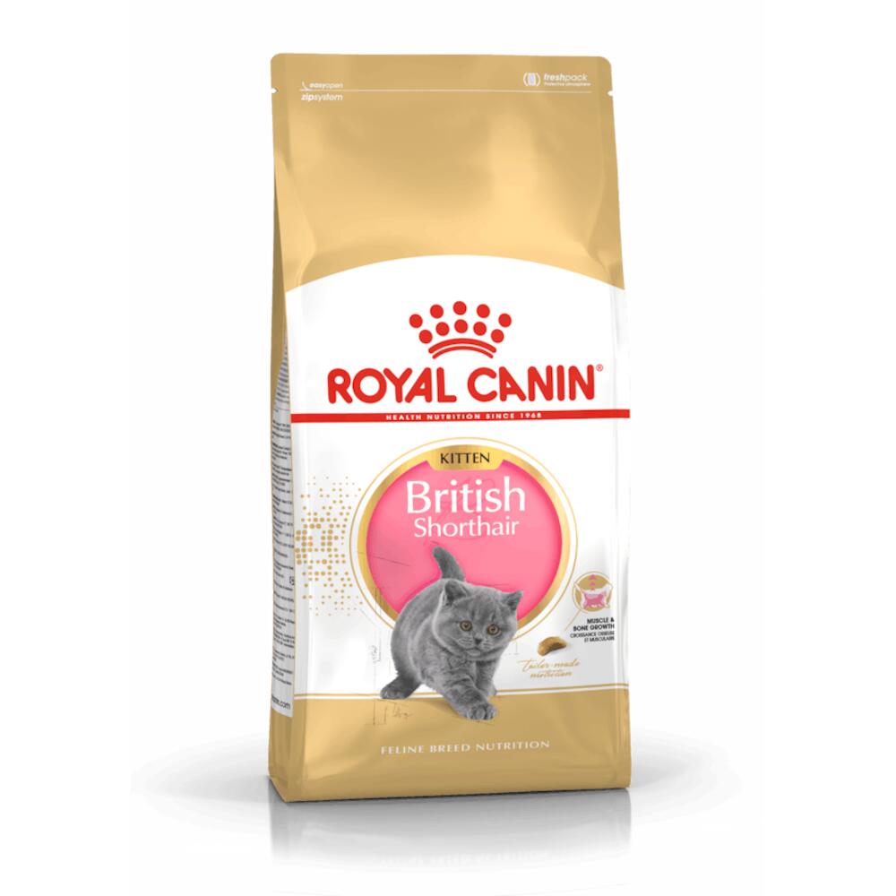 Katzentrockenfutter Feline British Shorthair Kitten – Royal Canin Cat