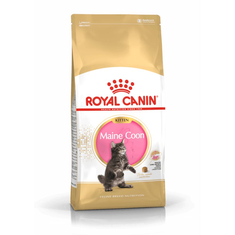 Katzentrockenfutter Feline Maine Coon Kitten – Royal Canin Cat