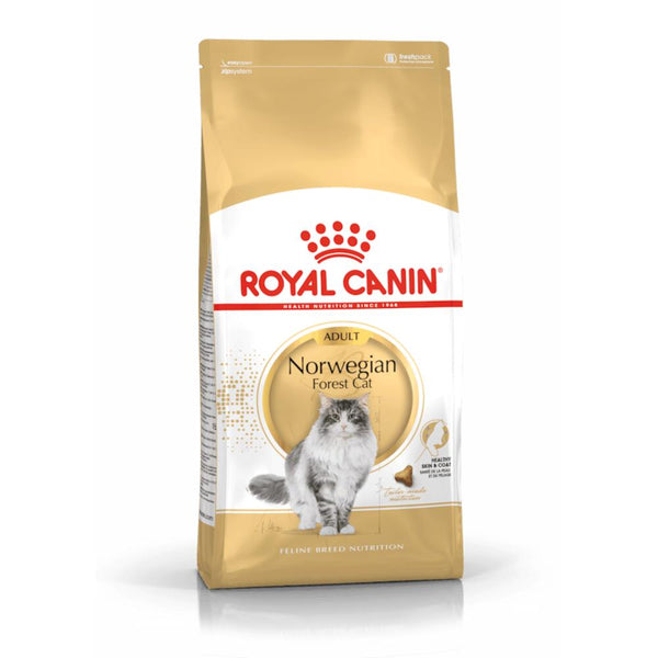 Katzentrockenfutter Feline Norwegian Forest Cat – Royal Canin Rasse