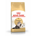 Katzentrockenfutter Feline Persian | Royal Canin Cat