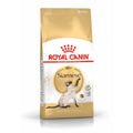 Katzentrockenfutter Feline Siamese, 2 kg | Royal Canin Cat