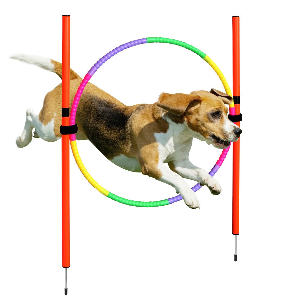 Dog Agility Training Equipment-6