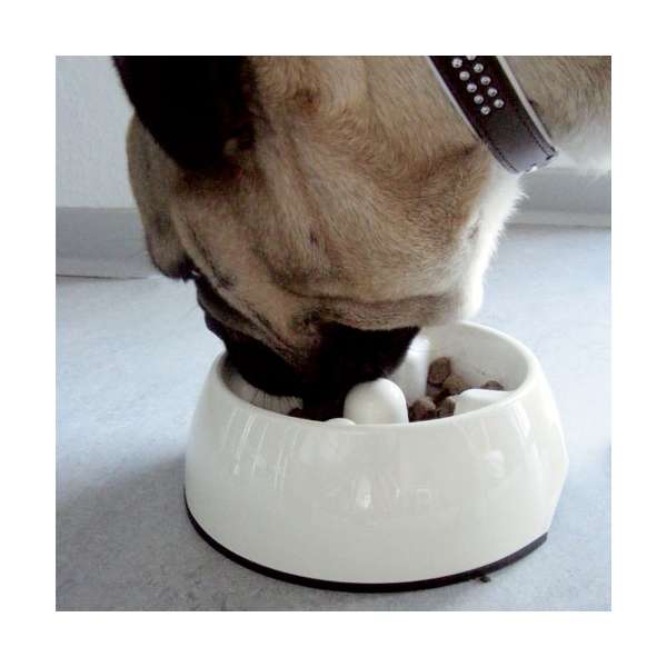 Anti-Schling-Napf für Hunde – Go-Slow Weiss 300 ml – Bild 2