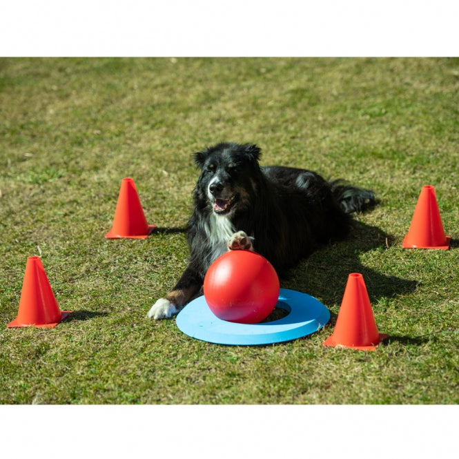 Hundetraining Zubehör – Dog Golf – Bild 3