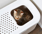 Katzentoilette – Hop In – Bild 5