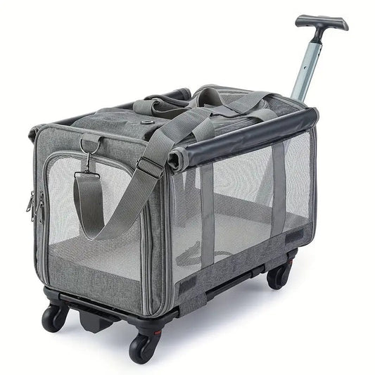 Transportbox mit Aluminiumrahmen und herausnehmbarem Boden