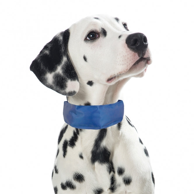 Kühlmatte für Hunde – Kühl-Bandana für Hunde