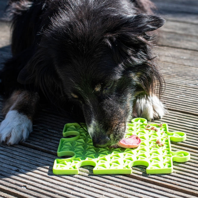 Intelligenzspielzeug für Hunde – Ladi Mat Schleckplatte Puzzle – Bild 5