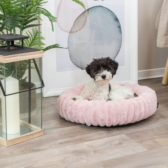 Hundebett – Lonni – Bild 9