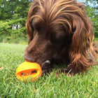 Hundeball – New Angle Mystery Belohnungsspielzeug – Bild 4