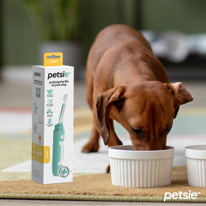 Petsie dog toothbrush (size L 20+kg)