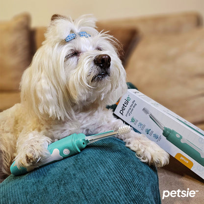 Petsie dog toothbrush (size L 20+kg)