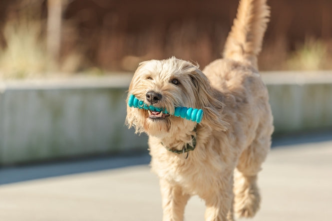 Wurfspielzeug für Hunde – Super Strong – Bild 2