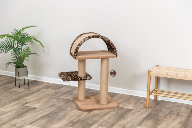 Kratzbaum für Katzen – Leo – Bild 7