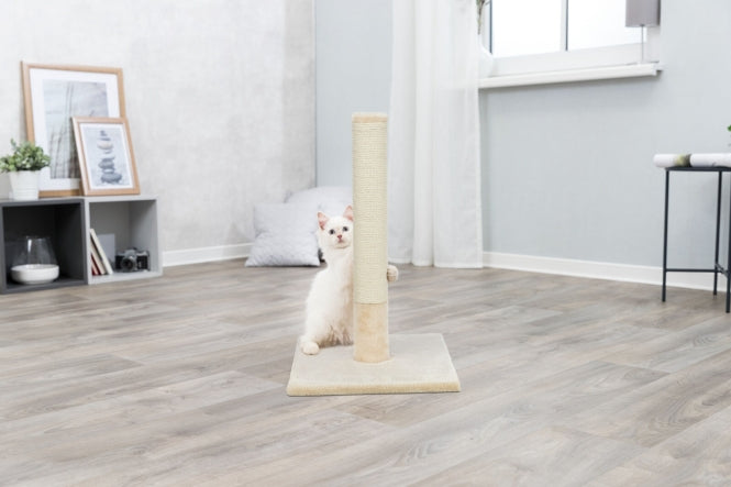 Kratzbaum für Katzen – Kratzstamm Batres – Bild 5