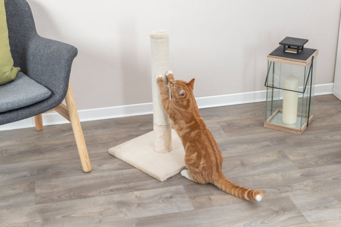 Kratzbaum für Katzen – Kratzstamm Batres – Bild 7