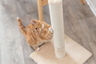 Kratzbaum für Katzen – Kratzstamm Batres – Bild 6