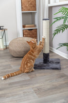 Kratzbaum für Katzen – Kratzstamm Batres – Bild 3