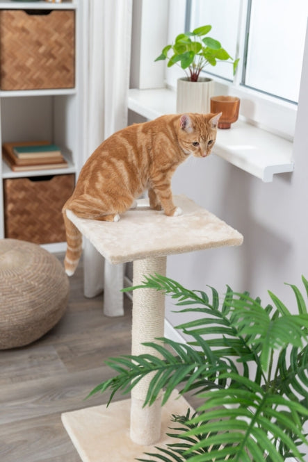 Kratzbaum für Katzen – Kratzstamm Baena – Bild 7