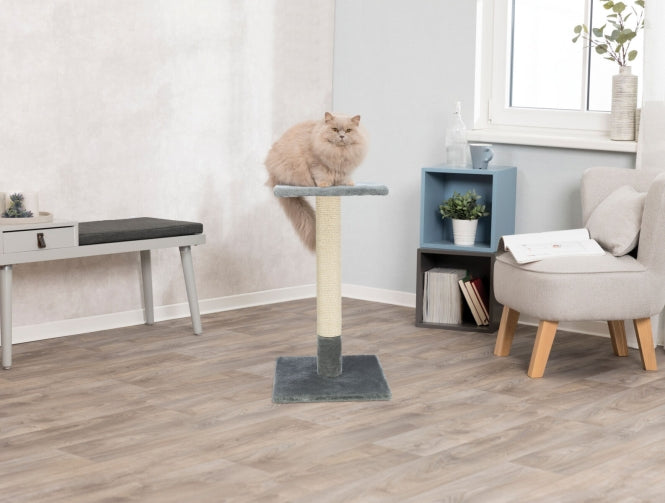 Kratzbaum für Katzen – Kratzstamm Baena – Bild 2