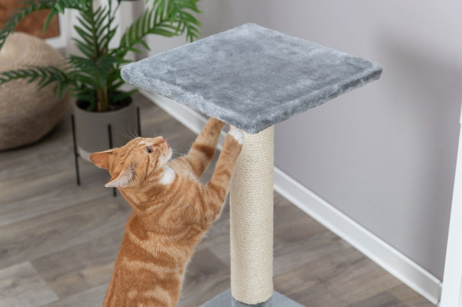 Kratzbaum für Katzen – Kratzstamm Baena – Bild 3