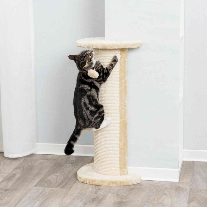 Eck-Kratzsäule für Katzen – Lorca – Bild 2