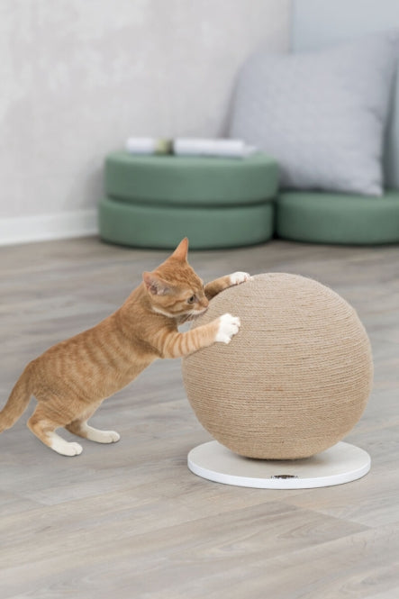 Kratzball für Katzen –  – Bild 3