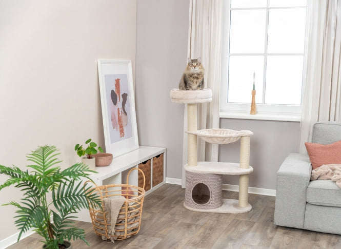 Kratzbaum für Katzen – Livia – Bild 4