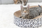 Kratzbett für Katzen – Leo, Braun – Bild 3