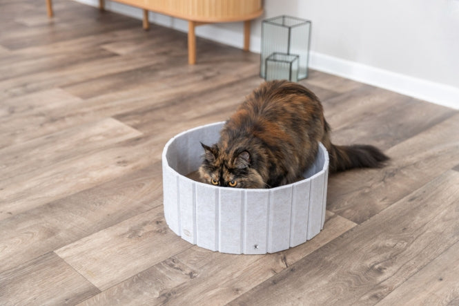 Kratzbrett für Katzen – Kratzpappe mit Filzrand – Bild 4