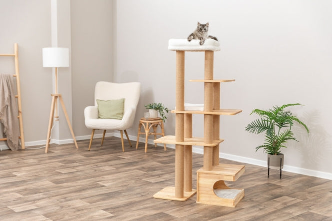 Kratzbaum für Katzen – Thiago – Bild 4