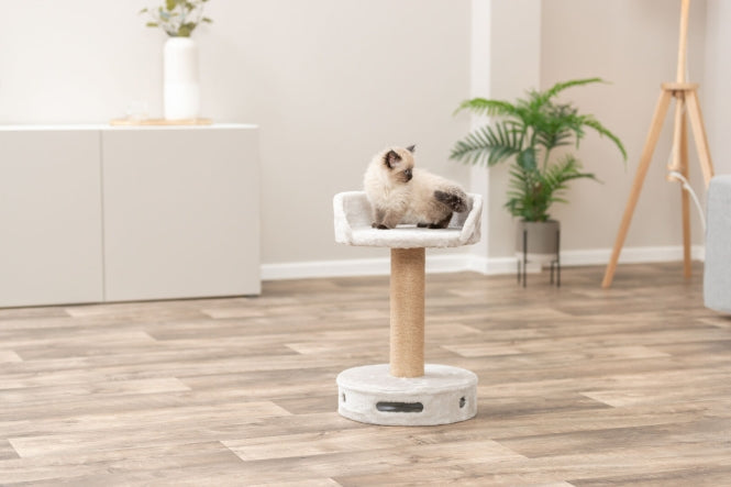 Kratzbaum für Katzen – Dalia – Bild 4